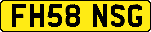 FH58NSG