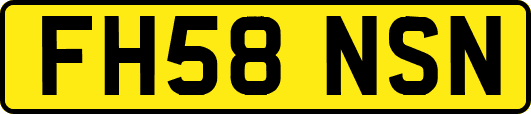 FH58NSN