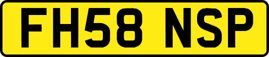 FH58NSP