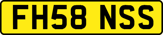 FH58NSS