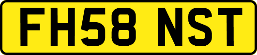FH58NST
