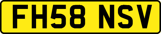 FH58NSV