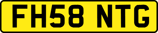FH58NTG