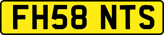FH58NTS