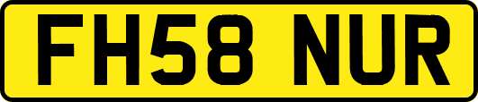 FH58NUR