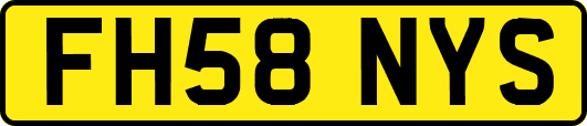 FH58NYS