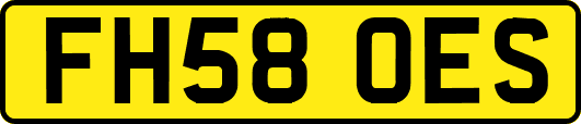 FH58OES