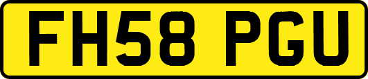 FH58PGU