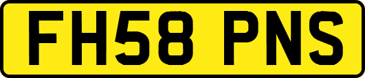 FH58PNS