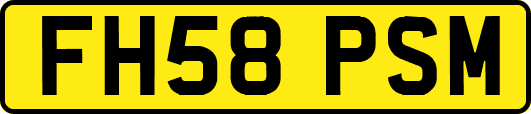 FH58PSM