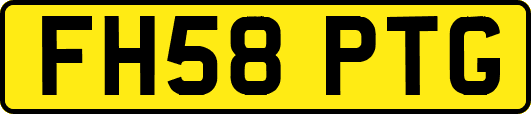FH58PTG
