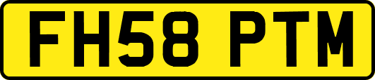FH58PTM