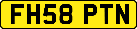 FH58PTN