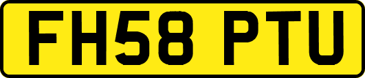FH58PTU