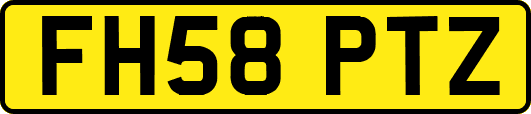 FH58PTZ