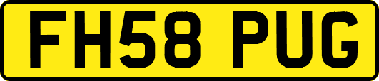 FH58PUG
