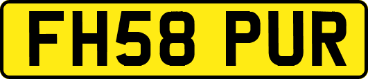 FH58PUR