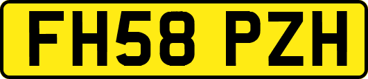 FH58PZH