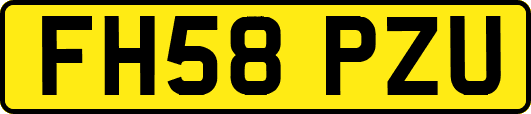 FH58PZU