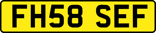 FH58SEF