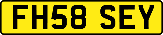 FH58SEY