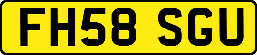 FH58SGU