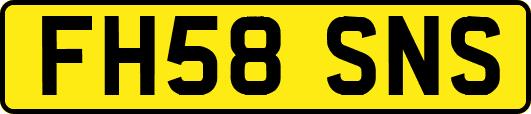 FH58SNS