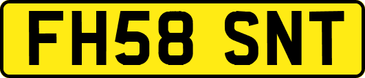 FH58SNT
