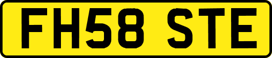 FH58STE