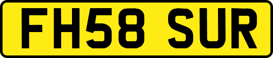 FH58SUR