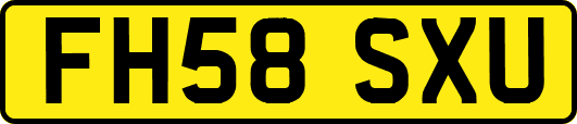 FH58SXU