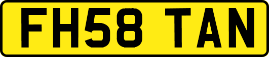 FH58TAN
