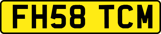 FH58TCM