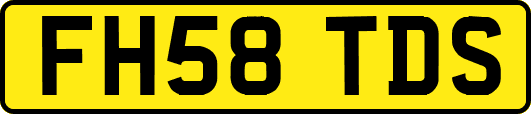 FH58TDS