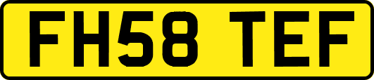 FH58TEF