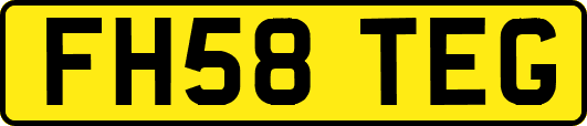 FH58TEG