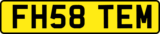 FH58TEM
