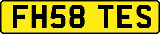 FH58TES