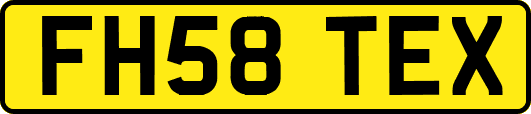 FH58TEX