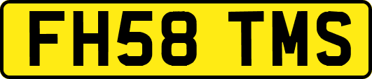 FH58TMS