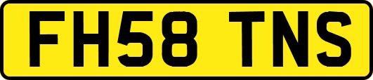 FH58TNS
