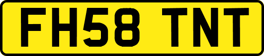 FH58TNT