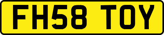 FH58TOY