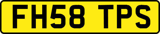 FH58TPS