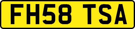 FH58TSA
