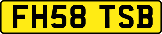 FH58TSB
