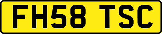 FH58TSC