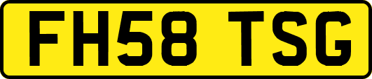 FH58TSG