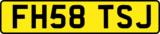 FH58TSJ