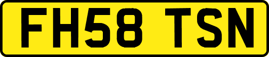 FH58TSN